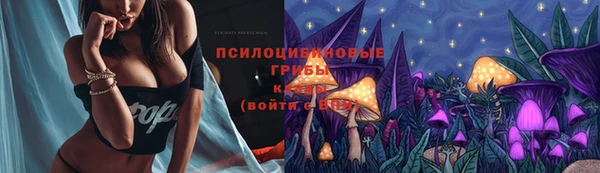 бошки Алексин