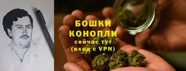 бошки Алексин